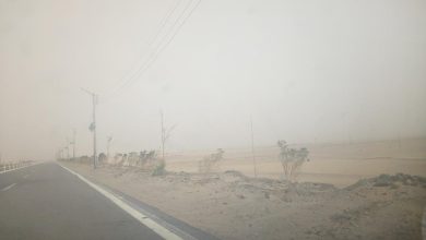 الهلال 11 51