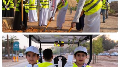 ايداع 2 1 31