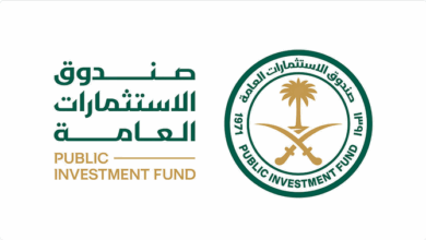 صندوق الاستثمارات ي