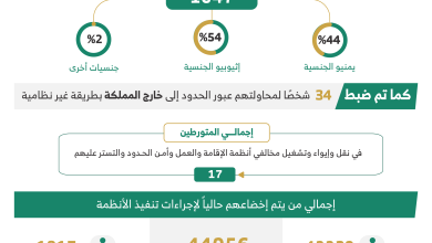 م 11