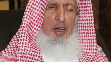 م 6